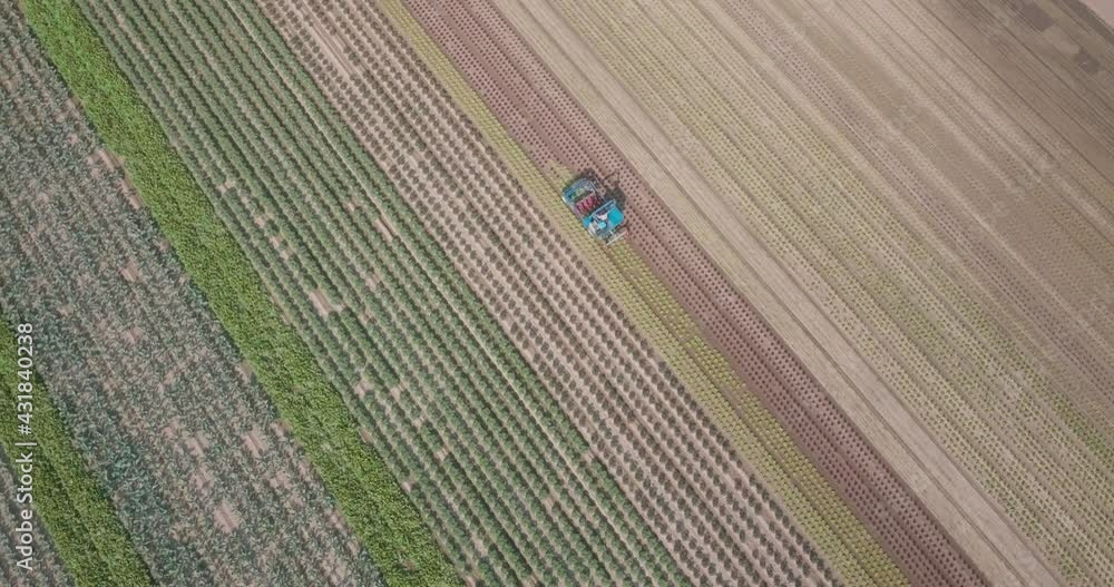 Poster drone shot of farm worker using weeding machine on a plantation field.