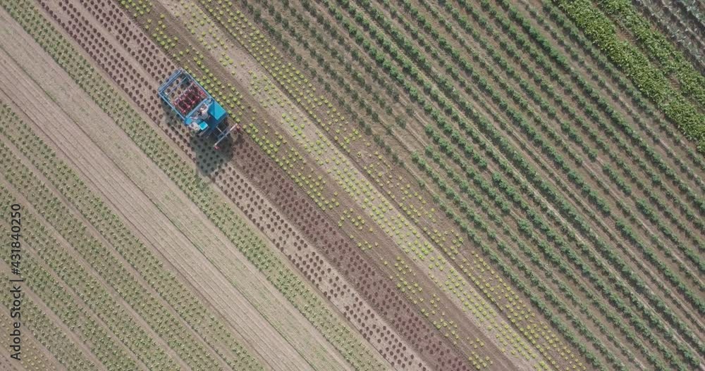 Poster drone shot of farm worker using weeding machine on a plantation field.