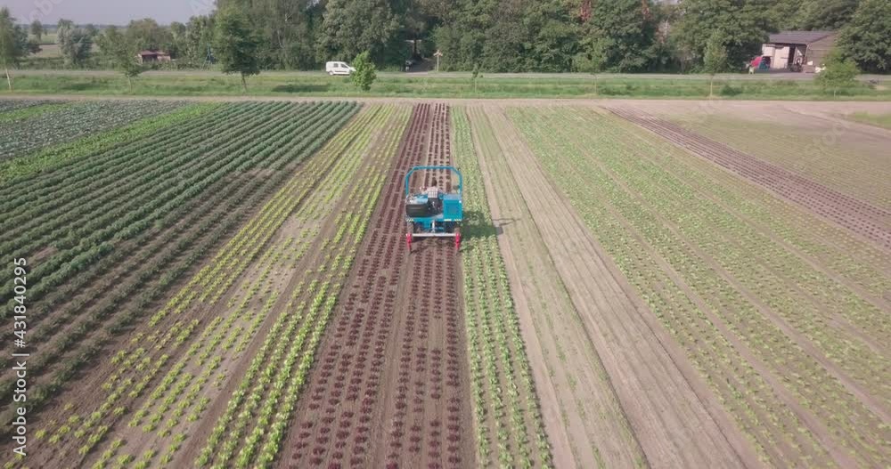 Poster drone shot of farm worker using weeding machine on a plantation field.