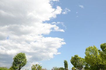 Obraz premium 晴れた空と白い雲