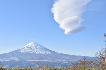 Fototapeta premium 富士山とレンズ雲