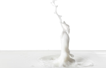 Splashes of tasty milk on white background