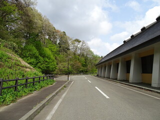 Naklejka premium 初夏の道路