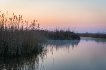 Fototapeta na wymiar red sky dawn on lake Neusiedlersee in Burgenland with misty reeds on canal of Oggau
