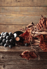 Bottle of red wine with grapes and dried vine on an old wooden table.