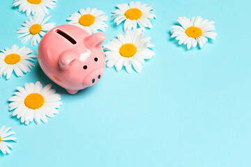 Pink piggy bank with chamomile flowers on a blue background. Copy space for text. Save up money for the summer.