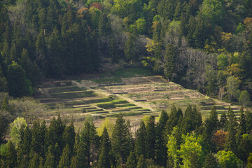 山の中の農園
