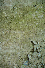 Old mossy concrete with chips and cracks vertical texture or background for mobile devices