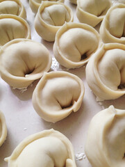 korean kimchi hand-made mandu (dumping)