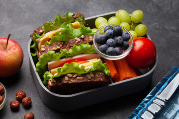 Healthy school lunch box with sandwich and fresh vegetables