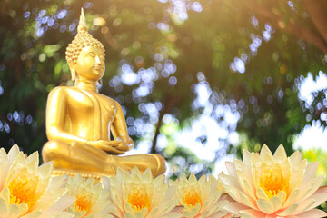 The Lord Buddha Statue color gold on white background.concept buddhist honly day and religious in...