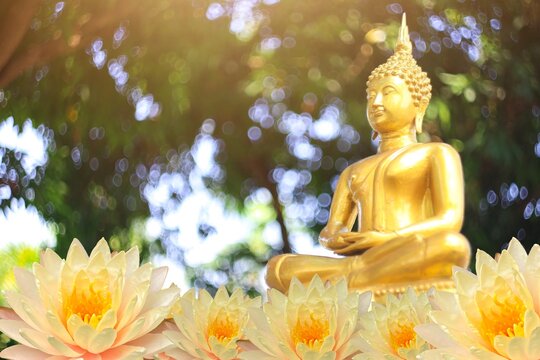 The Lord Buddha Statue color gold on white background.concept buddhist honly day and religious in Buddhism as ,Makhabucha,Visakhabucha and Asarnlahabucha day.selective focus.