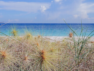 Fototapeta na wymiar Sea backgraung, white sand, sky, clouds, grass