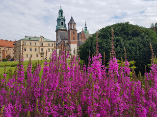Garden in the castle of Wawel. Towers of the cathedral. Flower beds. 