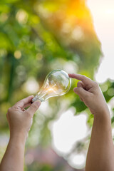Light bulb Energy saving green nature background..