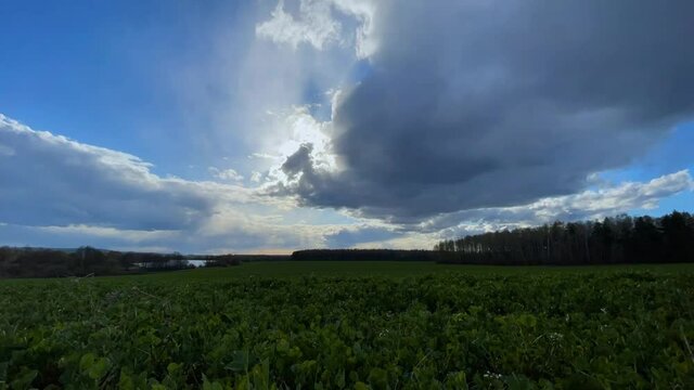 Timelapse of rain clouds over the forest