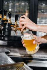 Close-up of the bartender filling a mug of light beer. The bar counter in the pub.