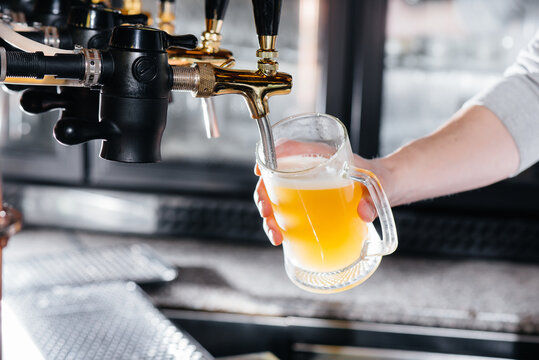 Close-up of the bartender filling a mug of light beer. The bar counter in the pub.