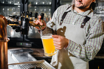 Close-up of a bearded bartender filling a mug of lager beer. The bar counter in the pub.