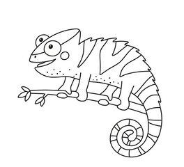 Funny chameleon lizard character for kid coloring book. Reptile with curved tail sitting on branch of jungle tree. Isolated vector illustration on white background.