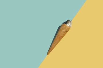 A cornet from which a fish head protrudes on a yellow and blue background, summer