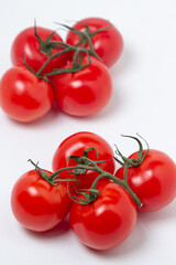 Tomatoes on a vine on a white background. Fresh and healthy vegetable. Ripe and juicy tomato