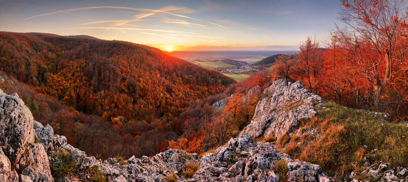 Beautiful orange and red autumn forest mountain, many trees on the orange hills, Slovakia