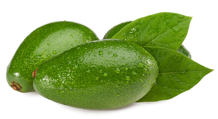 fresh avocado isolated on white background. full depth of field. clipping path