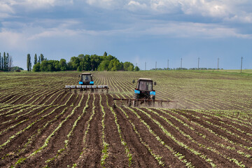 Fototapeta premium field work in agriculture. farmer's tractor harrows the field after planting seeds. tractor and seeder planting crops on a field.