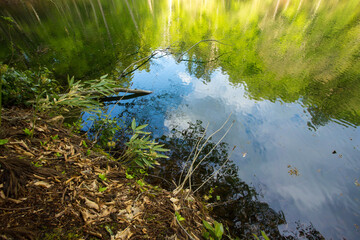 水面に映り込む美しい自然のグラデーション
