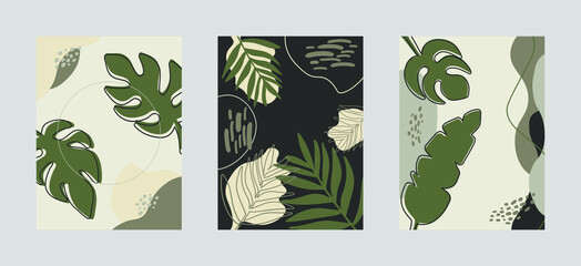 Set of trending posters in pastel earthy colors with botanical elements. Layout from abstract tropical leaves and lines and shapes of organic shapes. Background for social media. Vector illustration.