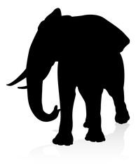 Elephant Silhouette