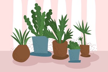 Home plants in pots. Tropical plants. Vector illustration.