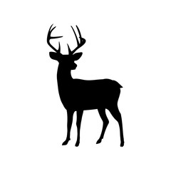 Black vector silhouette of horned deer on white background. Isolated.