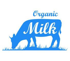 Milk cow dairy