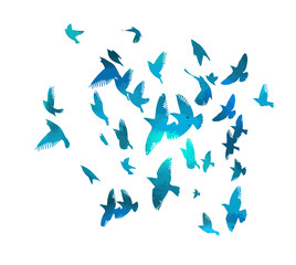Bird watercolor. A flock of colorful birds. Mixed media. Vector illustration