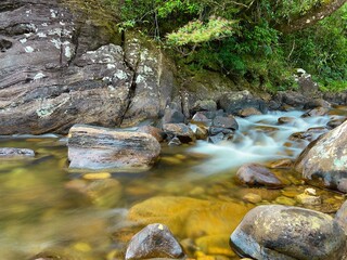 Naklejka na ściany i meble Water stream in the forest