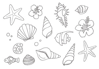 いろんな貝殻の手描きイラスト（モノクロ）