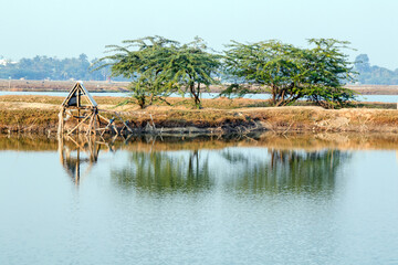 rural landscape at north 24 para west bengal india