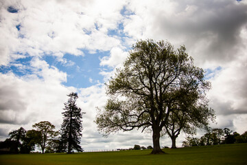 Spring landscape in the lands of Ireland