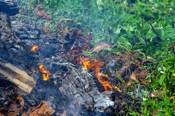 Wood garbage in fire, an illegal burning out in the garden. Forest fire concept