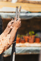 process of construction of structure for tomato orchard. Selective focus.