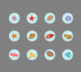 Icons with shells for stories. Set of round social media templates. Vector illustration. For use in blog design, media, logos and other decor.