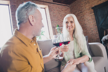 Photo of attractive positive old family husband and wife drink wine good mood celebrate indoors inside house home