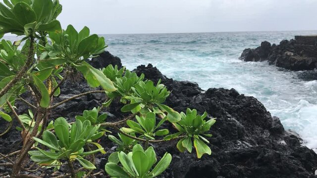 A beautiful view from the seashore in Moroni beach