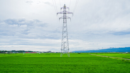 一面緑の田園の中に立つ送電線の鉄塔