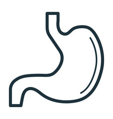 Stomach 