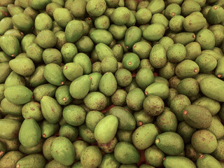 Background from avocado on a windscreen in a store. Avocado pattern