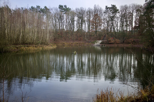 Calm scenery of a lake with trees reflection on the surface in Schleswig-Holstein, Germany