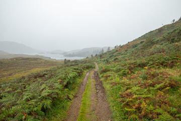 Fototapeta na wymiar Empty Hiking Path Across Autumnal Landscape of Scotland